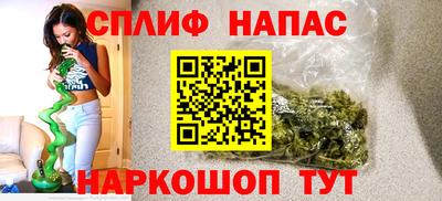 не бодяженный Гай