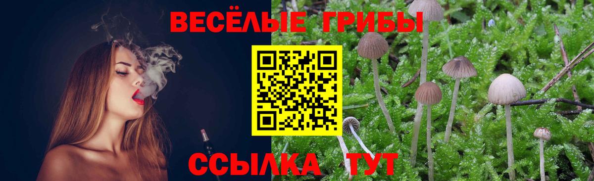 где можно купить наркотик  Вход с VPN  Карабулак  Псилоцибиновые грибы прущие грибы 